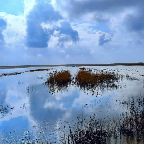 IMG_20240306_112306~2-EDIT