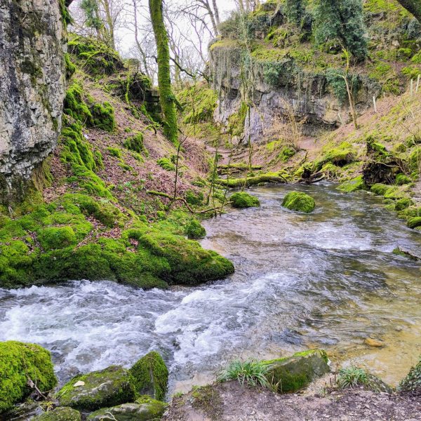 IMG_20260227_123523~2